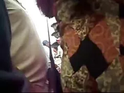 Dos perras blancas c ...