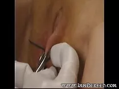 Asiático Maestro De  ...